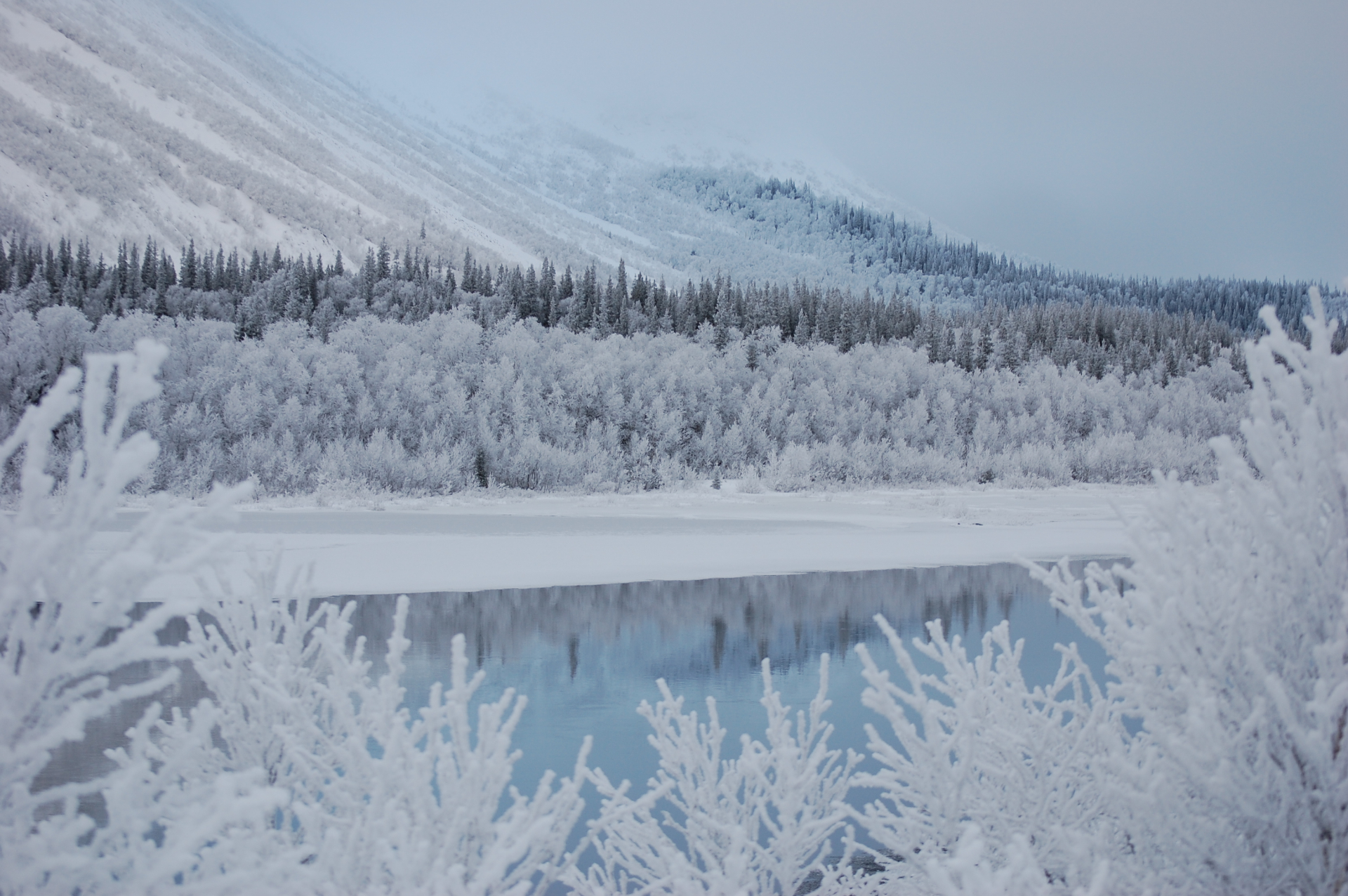 Snöklädda Borgahällan över isbelagda Borgasjön